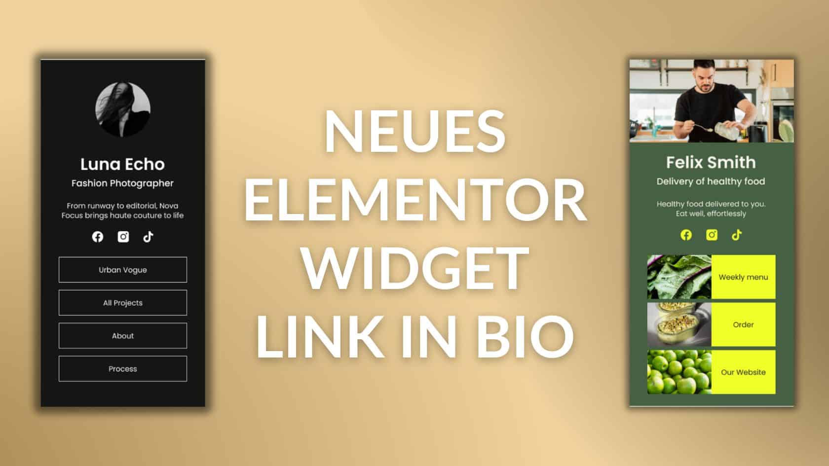Neues Elementor Widget Link in Bio Blogartikel by Thomas Gress
